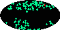 galactic footprint (+footg5.gif)
