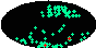 galactic footprint (+footg5.gif)