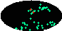 galactic footprint (+footg5.gif)