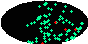 galactic footprint (+footg5.gif)