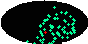 galactic footprint (+footg5.gif)